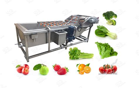 vegetable dryer machine|vegetable washing machine dryer.